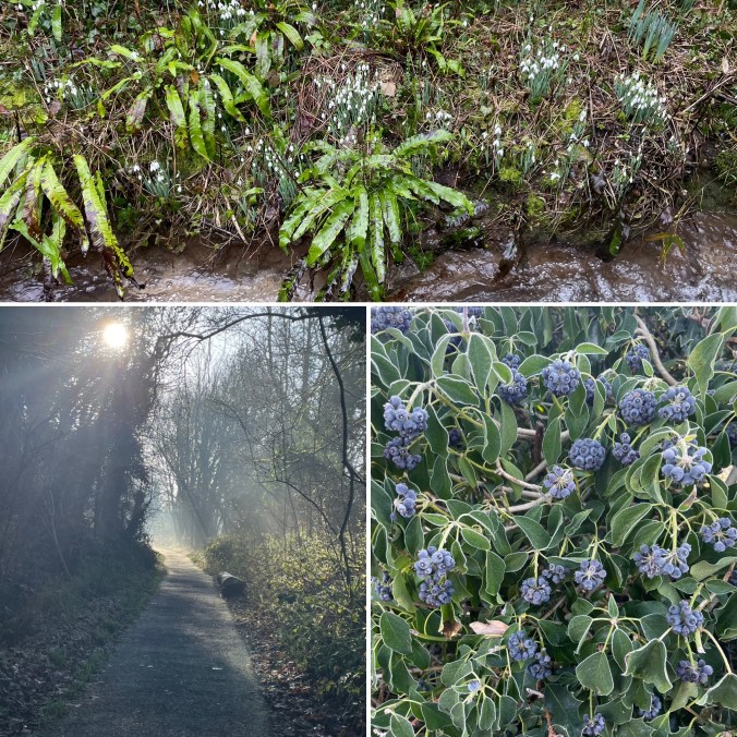 Winter Near Our Home