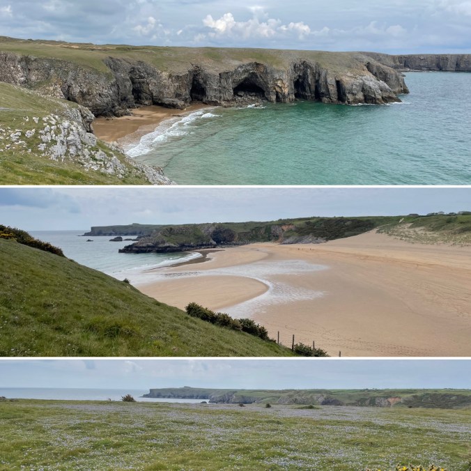 Cliff Views Near Stackpole