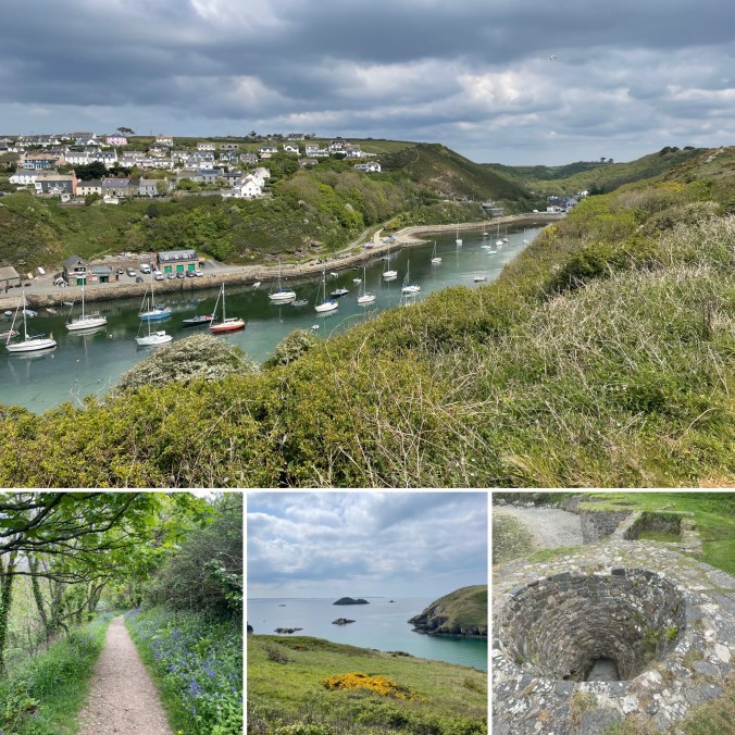 Overlooking Solva