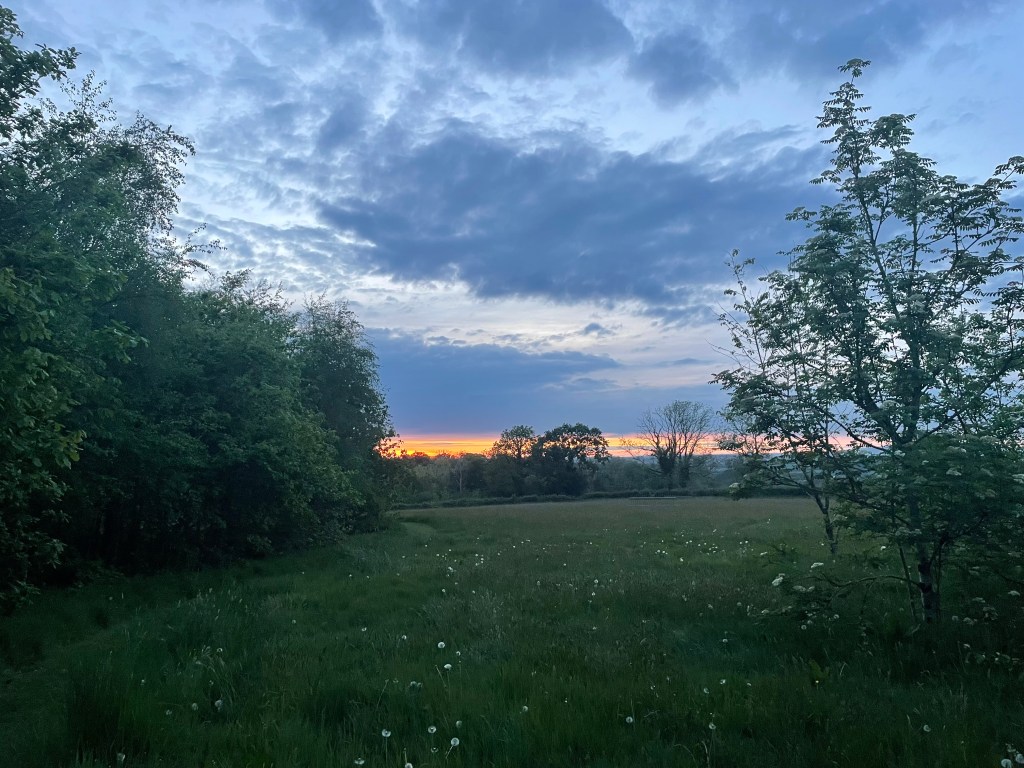 Our Evening View From Grove Hotel