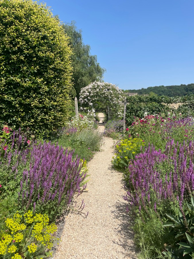 One Of The Avenues In The Walled Garden., Lasborough Park