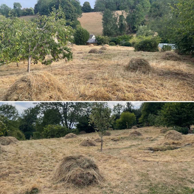Our Cut Field
