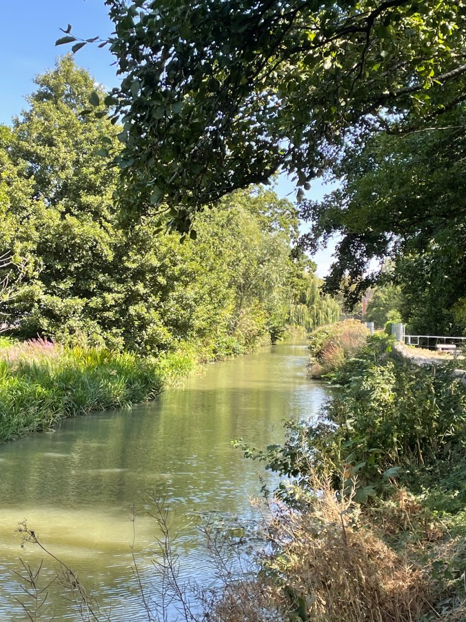 The Walk From The Local Planning Department - The Only Upside To The Planning Process